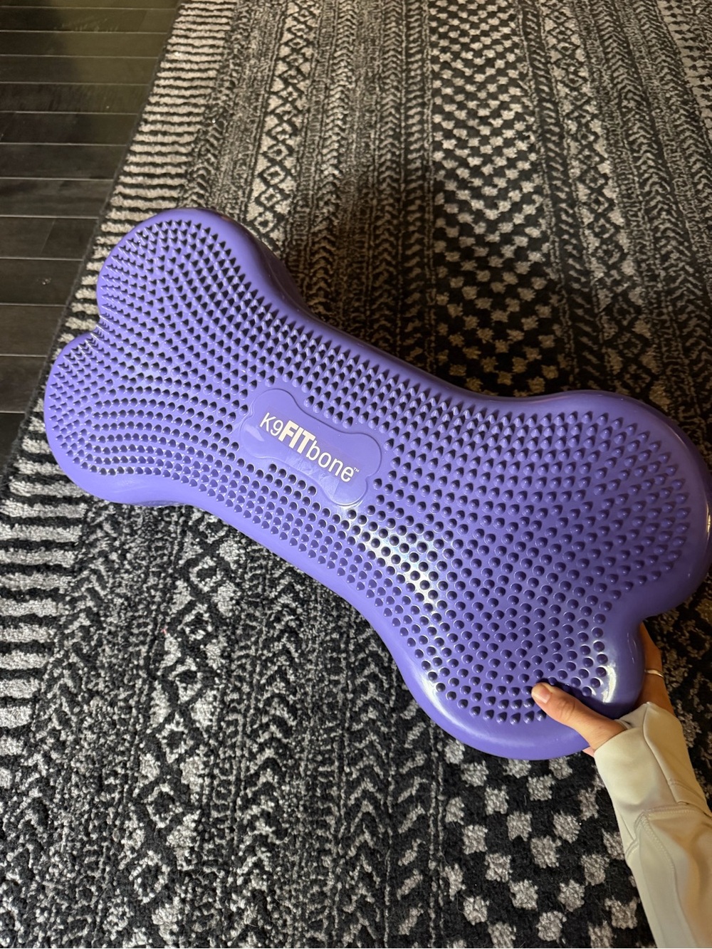 Purple Dog Balance Bone by K9FITbone